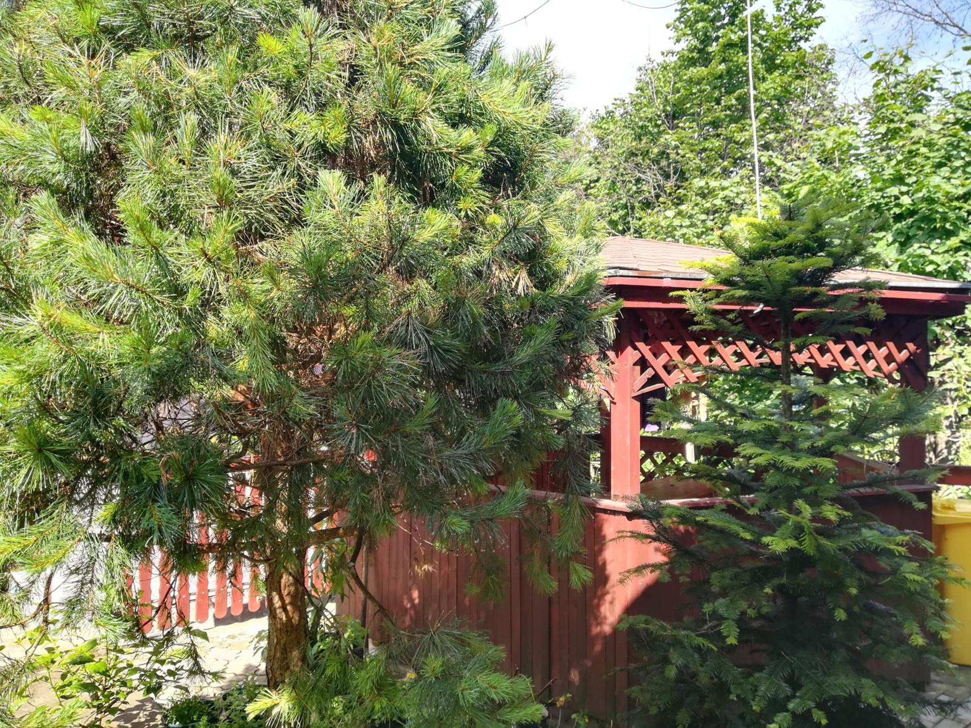 Apartamento Privát Erika Liptovský Ján Exterior foto